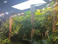 -时间仓(月湖公园店)