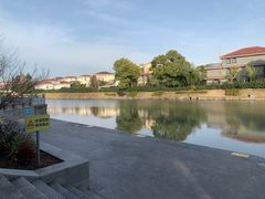 -嘉定紫藤园
