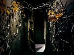 -棂笼·深度沉浸密室(武汉旗舰店)