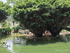 -九龙公园