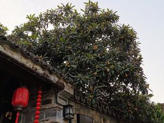 -前童古镇