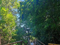 -吉林市朱雀山国家森林公园