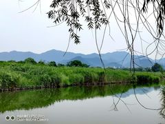 -西溪国家湿地公园