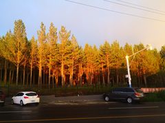 -塞罕坝国家级自然保护区