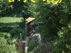-南山风景名胜区