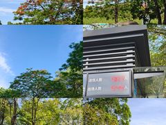 -火炉山森林公园