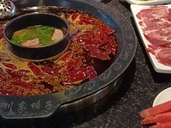-川东坝子火锅(宝龙店)
