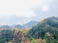-秦岭风景区