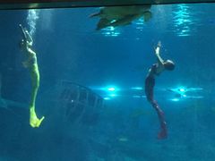 -福州罗源湾海洋世界旅游区