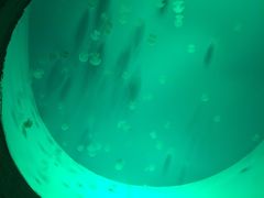 -常州海昌海洋探索馆