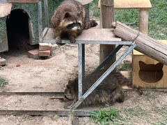 -青藏高原野生动物园