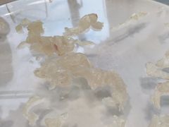 -八仔大富楼·河鲜(西江店)