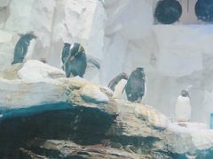 -华夏文旅海洋公园