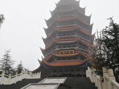 -铁山坪森林公园