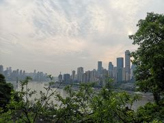 -悟饮门市景店