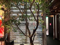 -星·South Beauty·俏江南(国贸店)