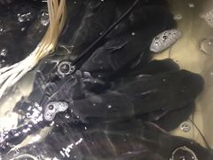 -小小河边鱼(天润城店)