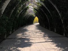 -天津东丽湖风景区