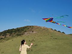 -大姆山草场