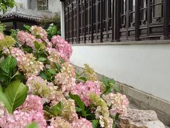 -桃源居(蠡园店)