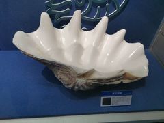 -大连自然博物馆