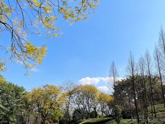 -瑞幸咖啡(重医附二院江南院区店)