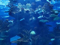 -多彩贵州城极地海洋世界