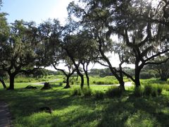 -奥兰多迪士尼动物王国乐园