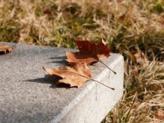 -西安市长乐公园