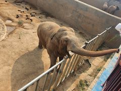 -西霞口神雕山野生动物世界