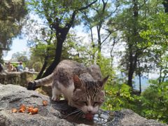 -泰山风景名胜区