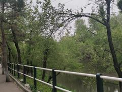 -黛秀湖公园
