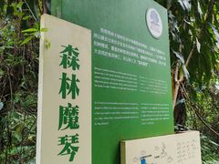 -莫里热带雨林景区