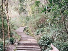 -青城山