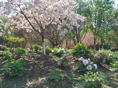 -江南大学(蠡湖校区)