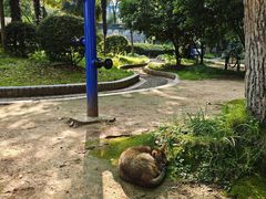 -湖北中医药大学(昙华林校区)