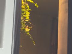 -森SPA·泰式按摩·精油Massage(宝安中心店)