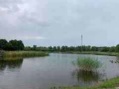 -永定河休闲森林公园