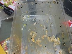 -翻滚吧!蛋炒饭·天津炒饭哥