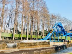 -上海共青森林公园