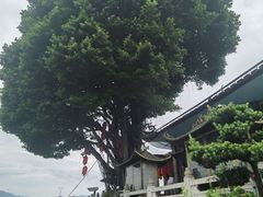 -仓山金山寺