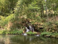 -庐山风景区花径公园