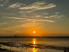 -宝安西湾红树林湿地公园