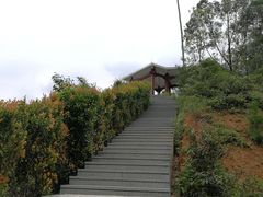 -田心森林公园