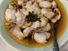 -席家花园(巨鹿花园店)