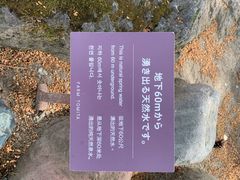 -富田农场