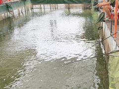 -辉记虾塘海鲜农庄