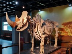 -广东中医药博物馆