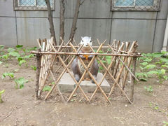 android_upload_pic-丰台科技园生态主题公园
