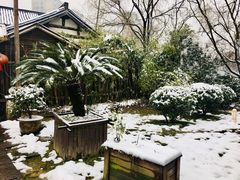 门面-阮氏酒家(柯桥店)